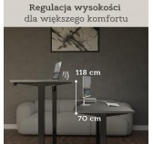 Biurko elektryczne z regulacją wysokości Szary 175x80