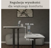 Biurko elektryczne z regulacją wysokości Jasny szary 175x80